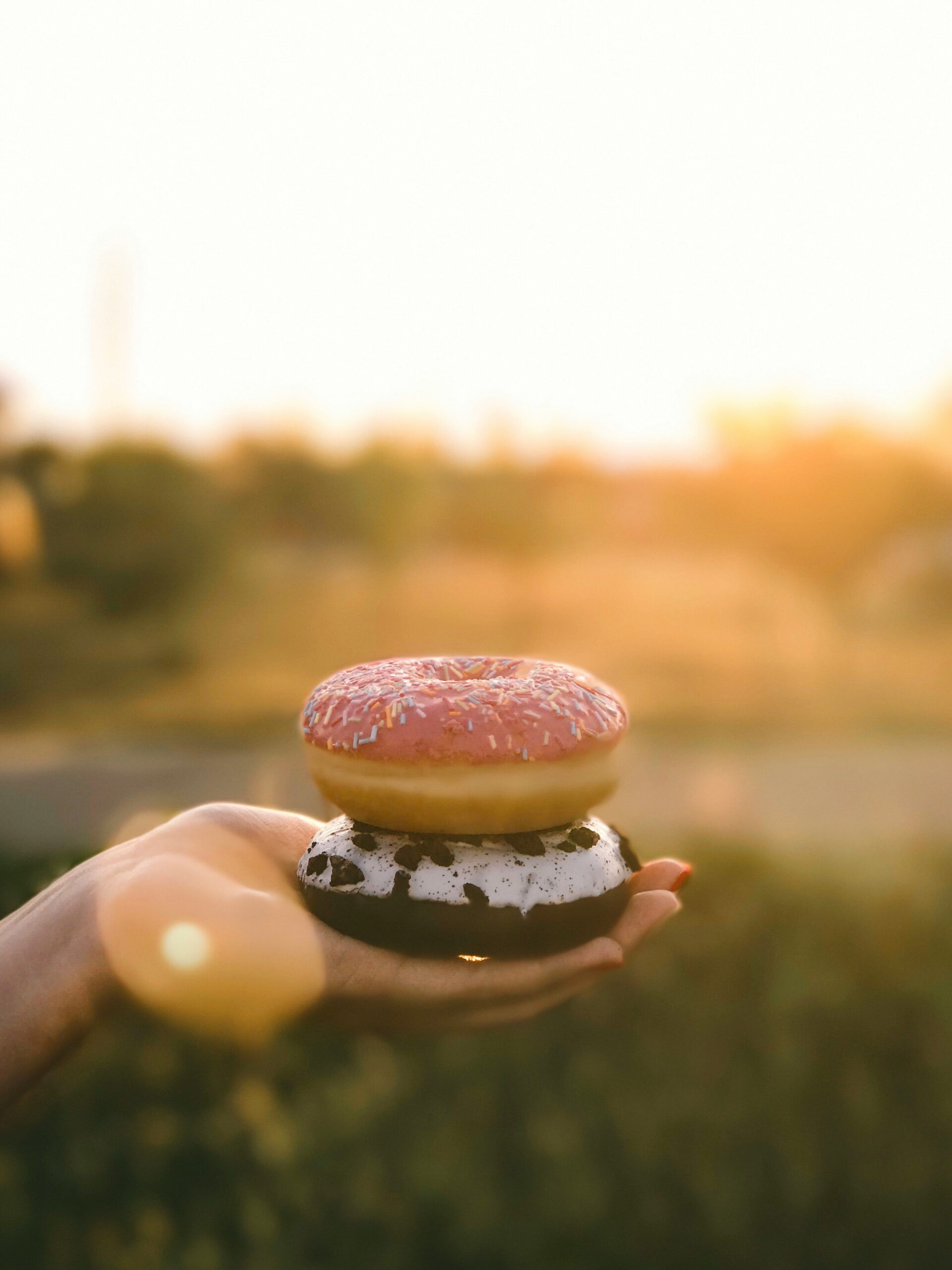 Zwei Donuts in schönem Abendlicht.